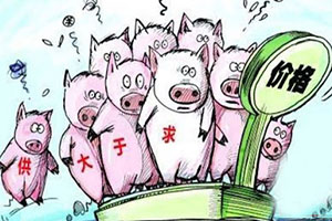 多伦多公寓市场进入深度调整期:从“供应不足”走向“供过于求”的时代转折